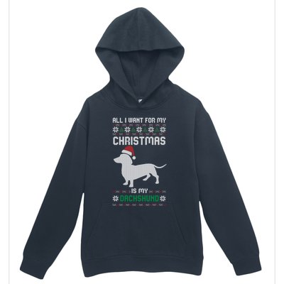 All I Want For My Christmas Dachshund Doxie Dog Ugly Xmas Pj Cute Gift Urban Pullover Hoodie