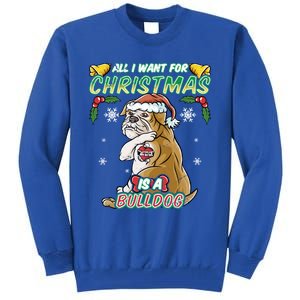 All I Want For Christmas Is A Bulldog Santa Claus Dog Xmas Cool Gift Tall Sweatshirt