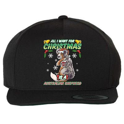 All I Want For Christmas Is A Australian Shepherd Santa Meaningful Gift Wool Snapback Cap