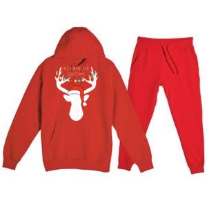 All I Want For Christmas Deer With Santa Hat Hunting Gift Premium Hooded Sweatsuit Set