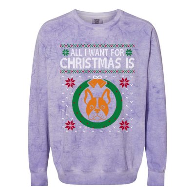 All I Want For Christmas Is French Bulldogs Meaningful Gift Colorblast Crewneck Sweatshirt