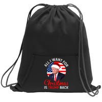 All I Want For Christmas Is Trump Back New Presiden Donald Trump Support Sweatshirt Cinch Pack Bag