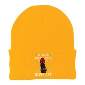 All I Want For Christmas Is My Cat Ugly Christmas Sweater Funny Gift Knit Cap Winter Beanie