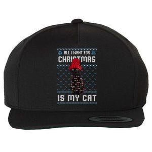 All I Want For Christmas Is My Cat Ugly Christmas Sweater Funny Gift Wool Snapback Cap