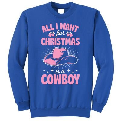 All I Want For Christmas Is A Cow Funny Cute Horse Gift Sweatshirt