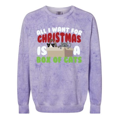 All I Want For Christmas Is A Box Of Cats Gift Colorblast Crewneck Sweatshirt