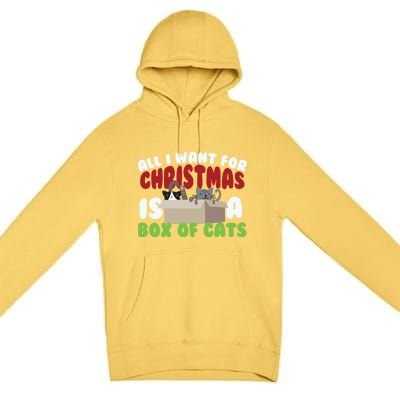 All I Want For Christmas Is A Box Of Cats Gift Premium Pullover Hoodie