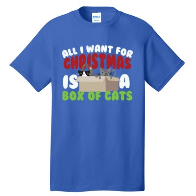 All I Want For Christmas Is A Box Of Cats Gift Tall T-Shirt