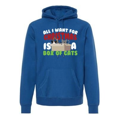 All I Want For Christmas Is A Box Of Cats Gift Premium Hoodie