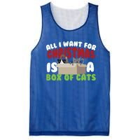 All I Want For Christmas Is A Box Of Cats Gift Mesh Reversible Basketball Jersey Tank