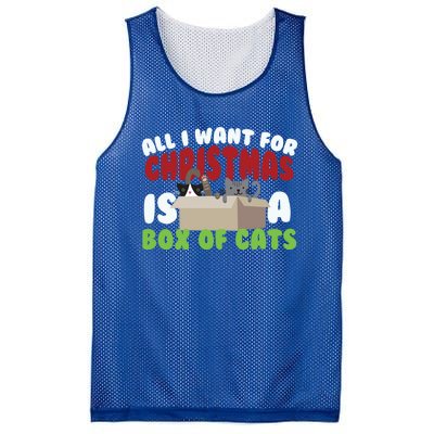 All I Want For Christmas Is A Box Of Cats Gift Mesh Reversible Basketball Jersey Tank