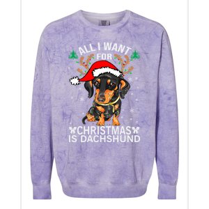 All I Want For Christmas Is More Dog Dachshund Christmas Funny Gift Colorblast Crewneck Sweatshirt