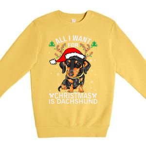 All I Want For Christmas Is More Dog Dachshund Christmas Funny Gift Premium Crewneck Sweatshirt