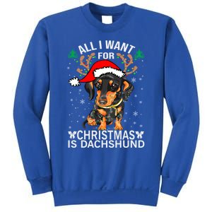 All I Want For Christmas Is More Dog Dachshund Christmas Funny Gift Sweatshirt