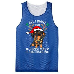 All I Want For Christmas Is More Dog Dachshund Christmas Funny Gift Mesh Reversible Basketball Jersey Tank