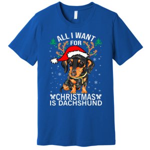 All I Want For Christmas Is More Dog Dachshund Christmas Funny Gift Premium T-Shirt