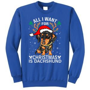 All I Want For Christmas Is More Dog Dachshund Christmas Funny Gift Tall Sweatshirt