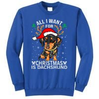 All I Want For Christmas Is More Dog Dachshund Christmas Funny Gift Tall Sweatshirt