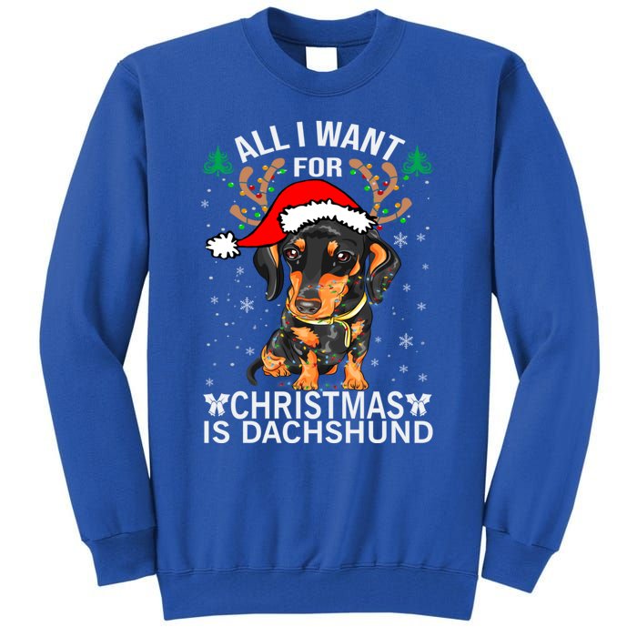 All I Want For Christmas Is More Dog Dachshund Christmas Funny Gift Tall Sweatshirt