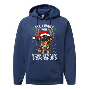 All I Want For Christmas Is More Dog Dachshund Christmas Funny Gift Performance Fleece Hoodie