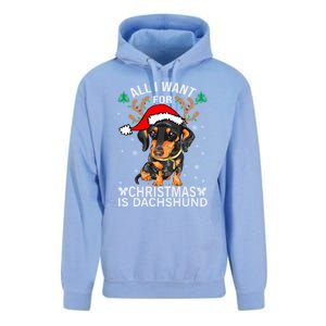 All I Want For Christmas Is More Dog Dachshund Christmas Funny Gift Unisex Surf Hoodie