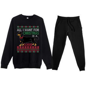 All I Want For Christmas Is A Dachshund Gift Premium Crewneck Sweatsuit Set