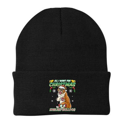 All I Want For Christmas Is A English Bulldog Santa Claus Meaningful Gift Beanie