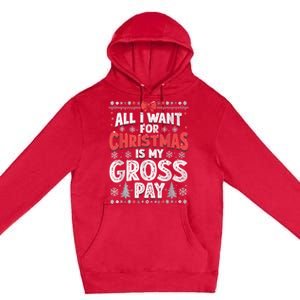 All I Want For Christmas Is My Gross Pay Funny Holiday Joke Premium Pullover Hoodie