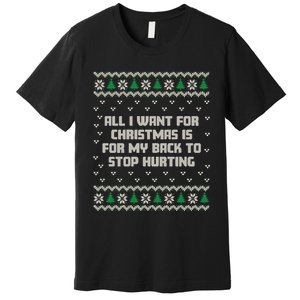 All I Want Is My Back To Stop Hurting Funny Christmas Long Sleeve Premium T-Shirt