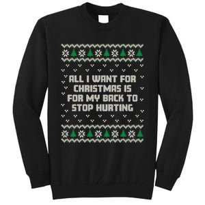 All I Want Is My Back To Stop Hurting Funny Christmas Long Sleeve Tall Sweatshirt