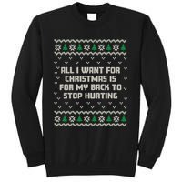 All I Want Is My Back To Stop Hurting Funny Christmas Long Sleeve Tall Sweatshirt