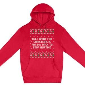 All I Want Is My Back To Stop Hurting Funny Christmas Long Sleeve Premium Pullover Hoodie