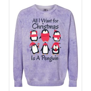 All I Want For Christmas Is A Penguin Xmas Funny Animal Cool Gift Colorblast Crewneck Sweatshirt