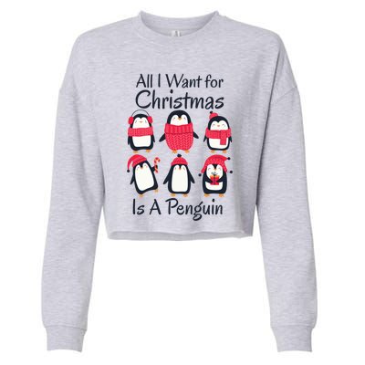 All I Want For Christmas Is A Penguin Xmas Funny Animal Cool Gift Cropped Pullover Crew