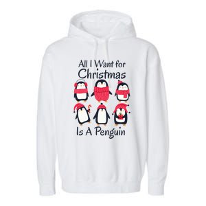 All I Want For Christmas Is A Penguin Xmas Funny Animal Cool Gift Garment-Dyed Fleece Hoodie