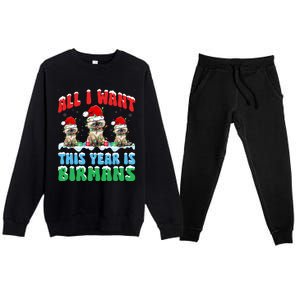 All I Want This Year Is Bir Cat Wearing Christmas Hat Cute Gift Premium Crewneck Sweatsuit Set