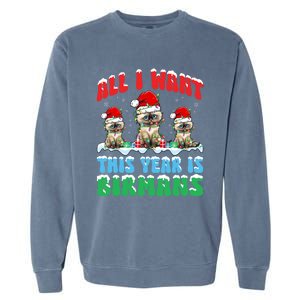 All I Want This Year Is Bir Cat Wearing Christmas Hat Cute Gift Garment-Dyed Sweatshirt