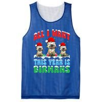 All I Want This Year Is Bir Cat Wearing Christmas Hat Cute Gift Mesh Reversible Basketball Jersey Tank