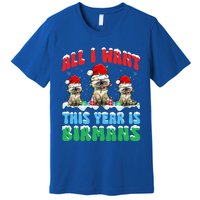 All I Want This Year Is Bir Cat Wearing Christmas Hat Cute Gift Premium T-Shirt