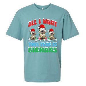 All I Want This Year Is Bir Cat Wearing Christmas Hat Cute Gift Sueded Cloud Jersey T-Shirt