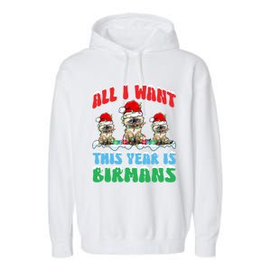 All I Want This Year Is Bir Cat Wearing Christmas Hat Cute Gift Garment-Dyed Fleece Hoodie