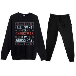 All I Want For Christmas Is My Gross Pay Funny Joke Premium Crewneck Sweatsuit Set