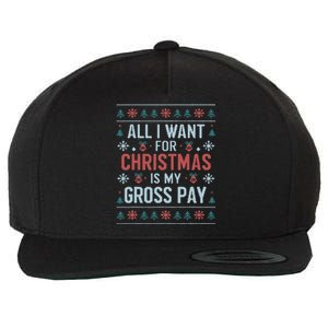 All I Want For Christmas Is My Gross Pay Funny Joke Wool Snapback Cap