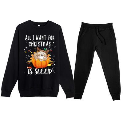 All I Want For Christmas Is Sleep Funny Sloth Pajama Xmas Gift Premium Crewneck Sweatsuit Set