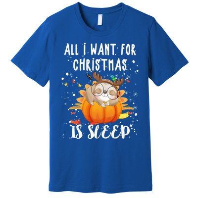 All I Want For Christmas Is Sleep Funny Sloth Pajama Xmas Gift Premium T-Shirt