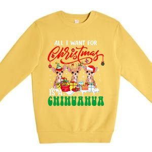 All I Want For Xmas Is A Chihuahua Three Santa Reindeer Dogs Cool Gift Premium Crewneck Sweatshirt