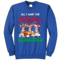 All I Want For Xmas Is A Chihuahua Three Santa Reindeer Dogs Cool Gift Sweatshirt