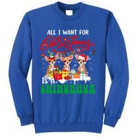 All I Want For Xmas Is A Chihuahua Three Santa Reindeer Dogs Cool Gift Tall Sweatshirt