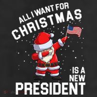 All I Want For Christmas Is A New President Trucker Hat