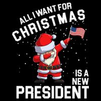 All I Want For Christmas Is A New President Cropped Pullover Crew